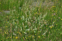 BUITEN BEELD Foto: 449071