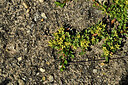 BUITEN BEELD Foto: 449073