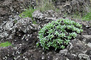 BUITEN BEELD Foto: 449075