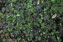 BUITEN BEELD Foto: 449078