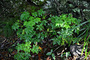 BUITEN BEELD Foto: 449079