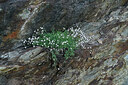 BUITEN BEELD Foto: 449080