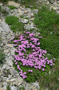 BUITEN BEELD Foto: 449084