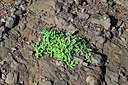 BUITEN BEELD Foto: 449088