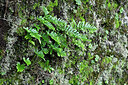 BUITEN BEELD Foto: 449091