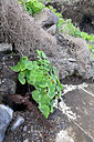 BUITEN BEELD Foto: 449094