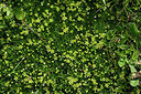 BUITEN BEELD Foto: 449095