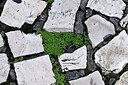 BUITEN BEELD Foto: 449097