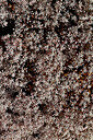 BUITEN BEELD Foto: 449098