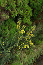 BUITEN BEELD Foto: 449102