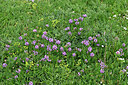 BUITEN BEELD Foto: 449104