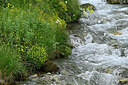 BUITEN BEELD Foto: 449109