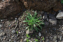 BUITEN BEELD Foto: 449112