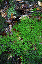 BUITEN BEELD Foto: 449113