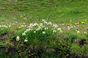 BUITEN BEELD Foto: 449120