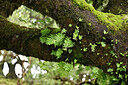 BUITEN BEELD Foto: 449122