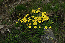 BUITEN BEELD Foto: 449125