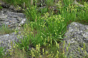 BUITEN BEELD Foto: 449126