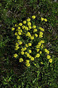 BUITEN BEELD Foto: 449128