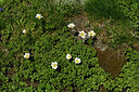 BUITEN BEELD Foto: 449130