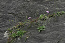 BUITEN BEELD Foto: 449134