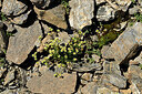 BUITEN BEELD Foto: 449135