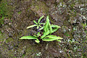 BUITEN BEELD Foto: 449140