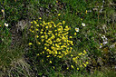 BUITEN BEELD Foto: 449142