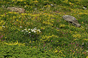 BUITEN BEELD Foto: 449145