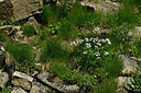 BUITEN BEELD Foto: 449146