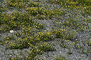 BUITEN BEELD Foto: 449153