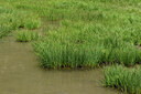BUITEN BEELD Foto: 449154