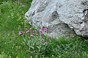 BUITEN BEELD Foto: 449156