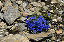 BUITEN BEELD Foto: 449161
