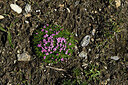 BUITEN BEELD Foto: 449162