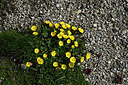 BUITEN BEELD Foto: 449164