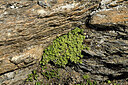 BUITEN BEELD Foto: 449165