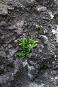 BUITEN BEELD Foto: 449170