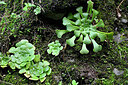 BUITEN BEELD Foto: 449171