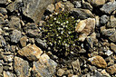 BUITEN BEELD Foto: 449172