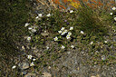BUITEN BEELD Foto: 449179