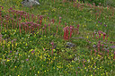 BUITEN BEELD Foto: 449182