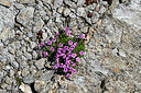 BUITEN BEELD Foto: 449183