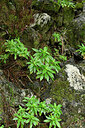 BUITEN BEELD Foto: 449185