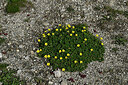 BUITEN BEELD Foto: 449187