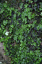 BUITEN BEELD Foto: 449188
