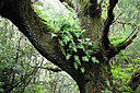 BUITEN BEELD Foto: 449192