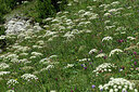 BUITEN BEELD Foto: 449195