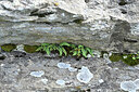 BUITEN BEELD Foto: 449198