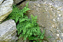 BUITEN BEELD Foto: 449200